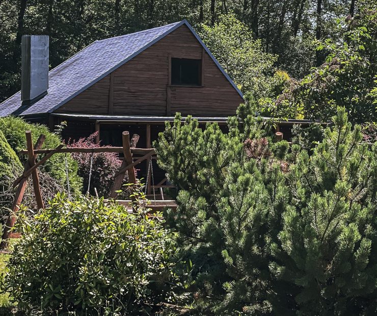 kolacja-w-lesie_0009_Layer 8